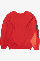 Vintage Sun Faded "Hinckley, Ohio" Souvenir Sweatshirt (1990s)
