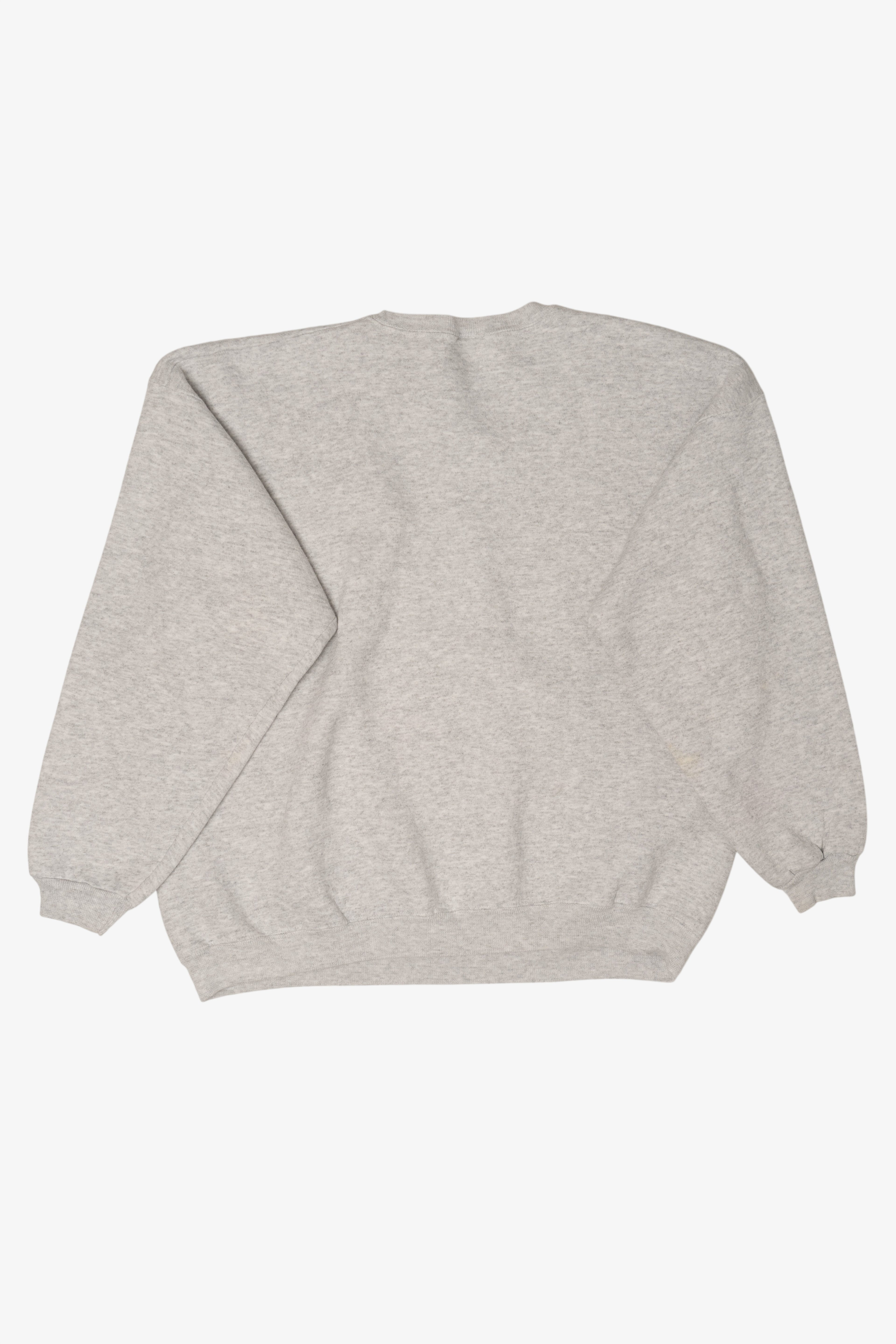 Vintage BRAG Bicycle Ride Across Georgia Sweatshirt (1990s)