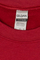 Red Ely Minnesota Embroidered Sweatshirt (2020s)