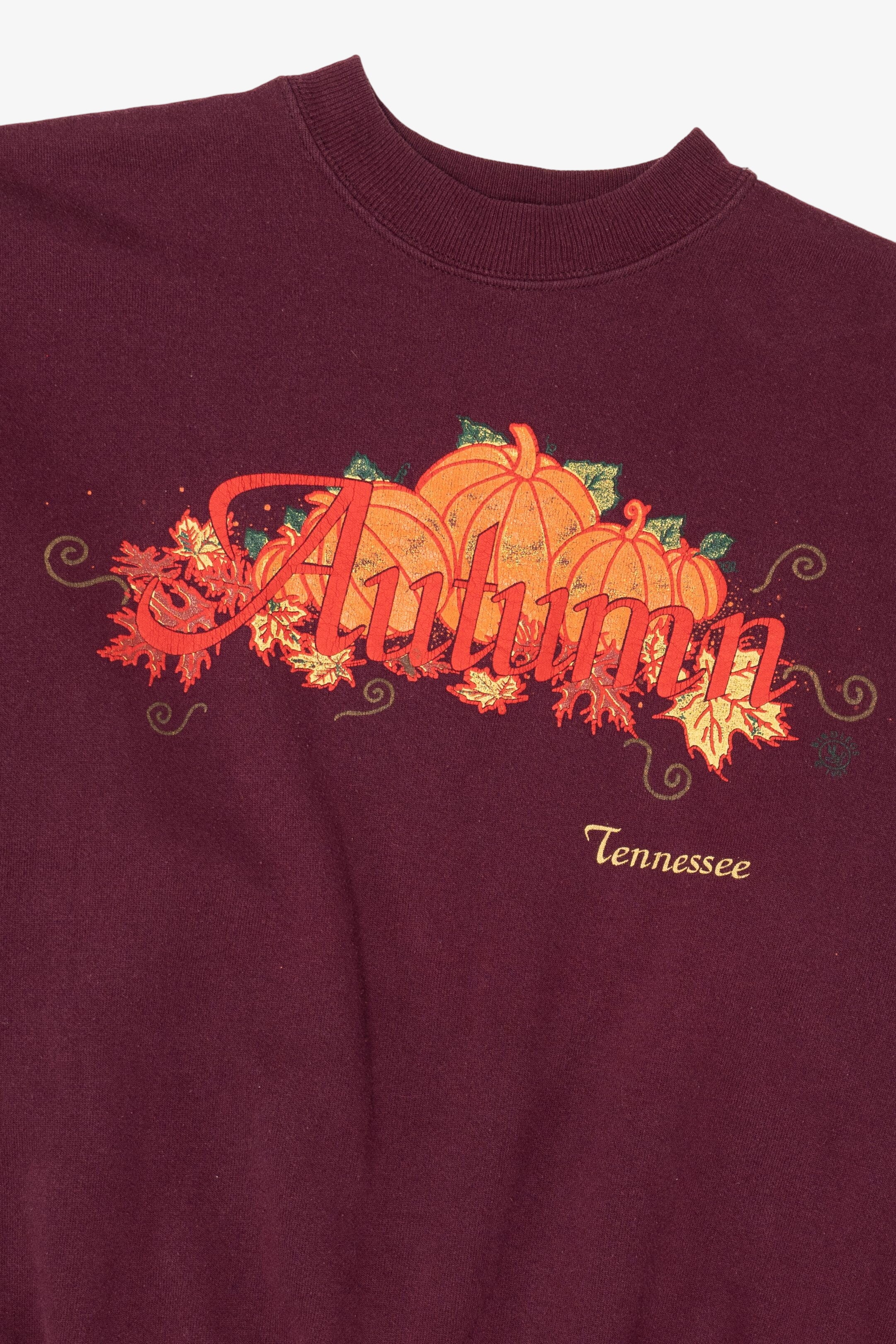 Vintage Burgundy Autumn Harvest Tennessee Pumpkins Hanes Sweatshirt (2000s)