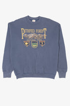 Vintage Blue Petrified Forest National Park Sweatshirt (1990s)