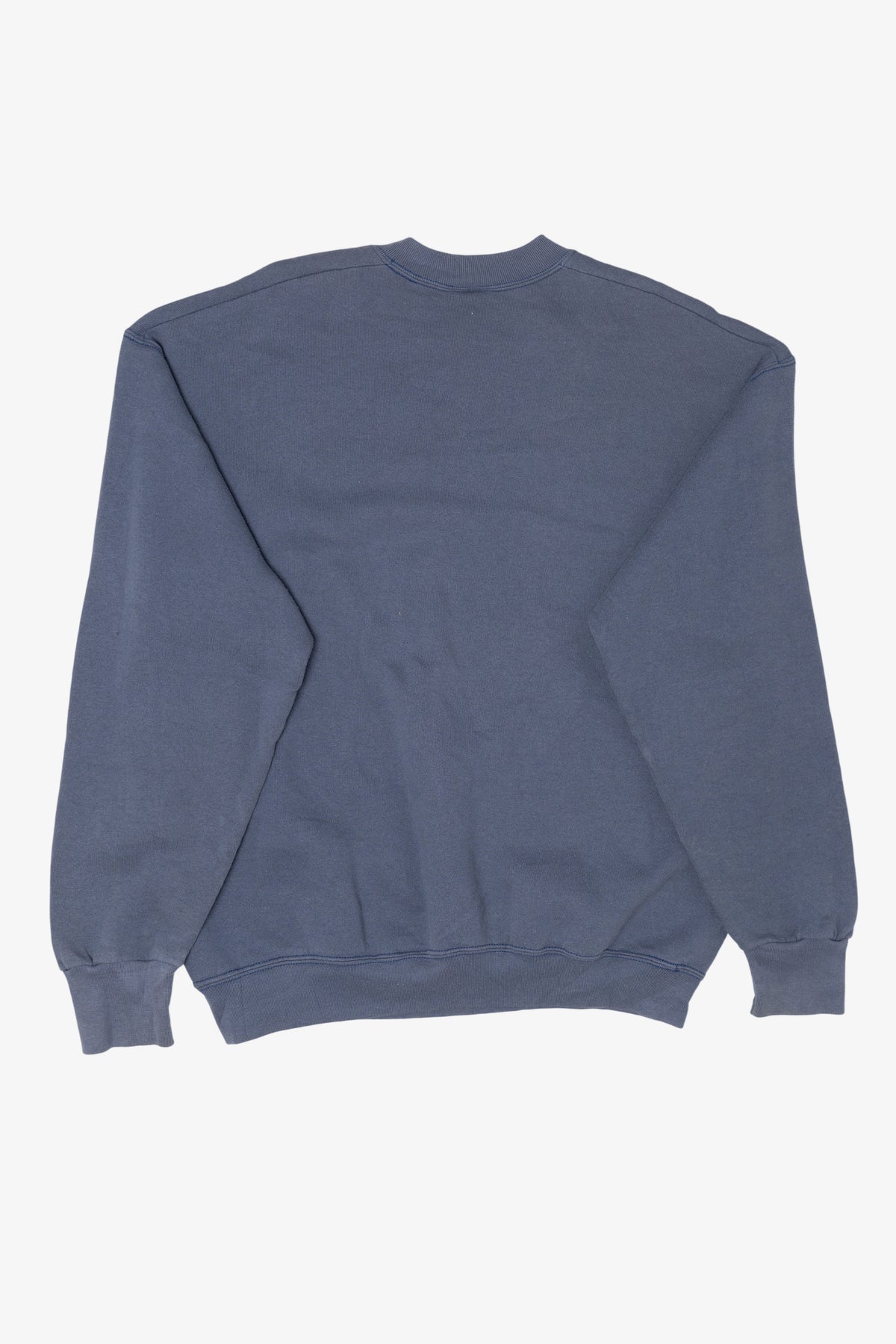 Vintage Blue Petrified Forest National Park Sweatshirt (1990s)