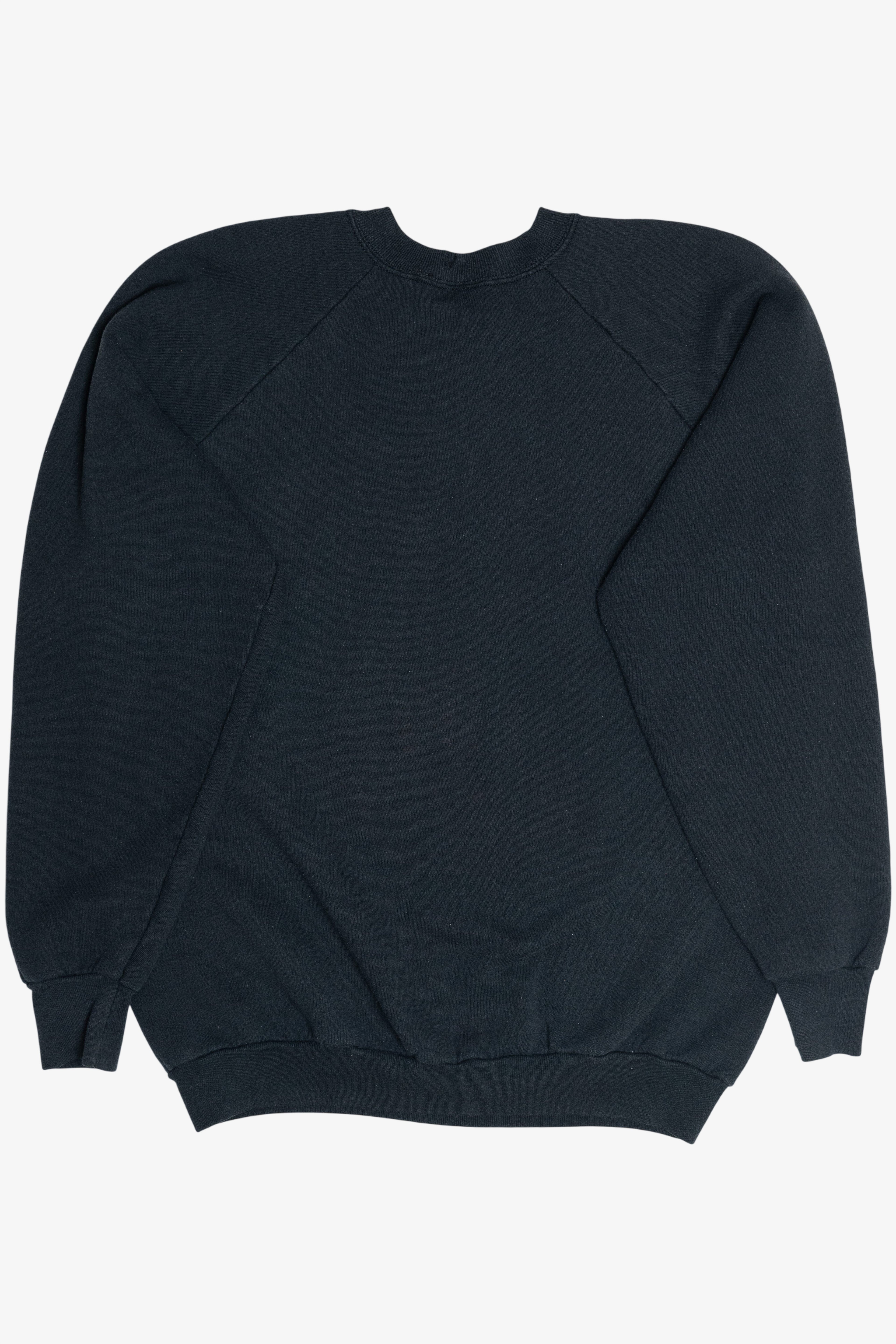 Vintage "Hawaii Warriors" Raglan Sweatshirt (1990s)