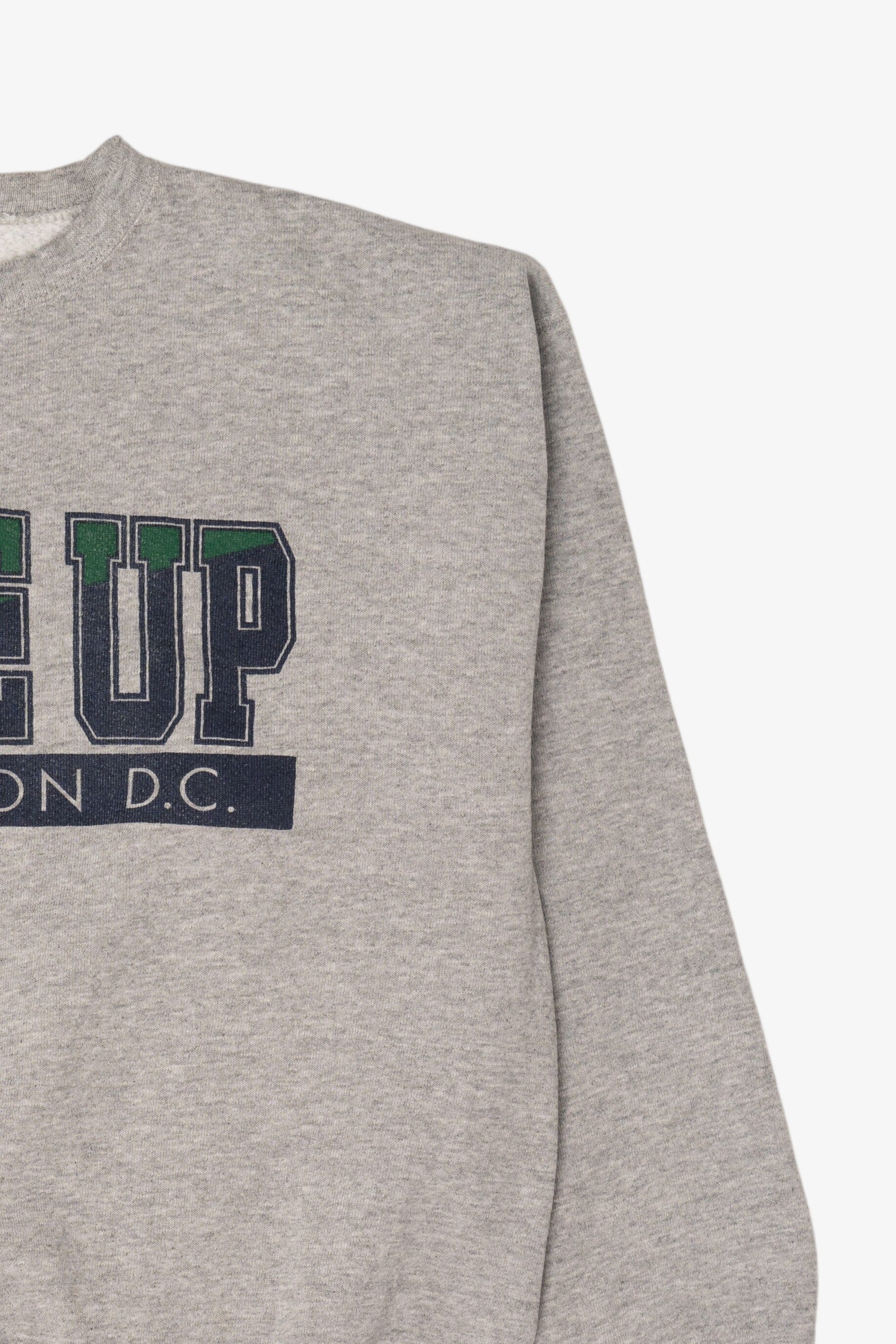 Vintage Gray Close Up Washington Sweatshirt (1990s)
