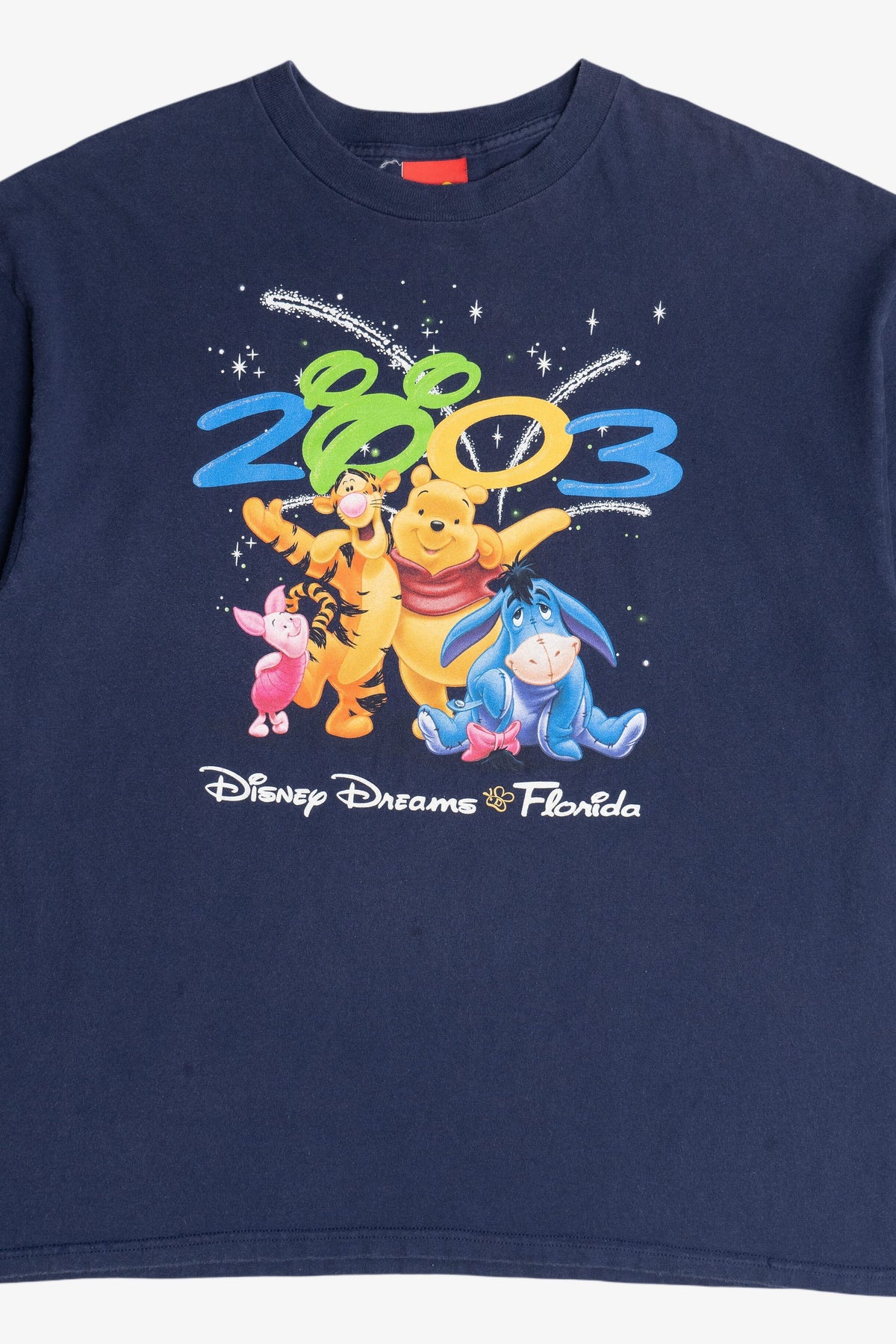 Vintage 2003 "Disney Dreams Florida" Winnie The Pooh Disney T-Shirt (2000s)