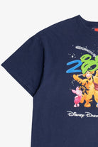 Vintage 2003 "Disney Dreams Florida" Winnie The Pooh Disney T-Shirt (2000s)