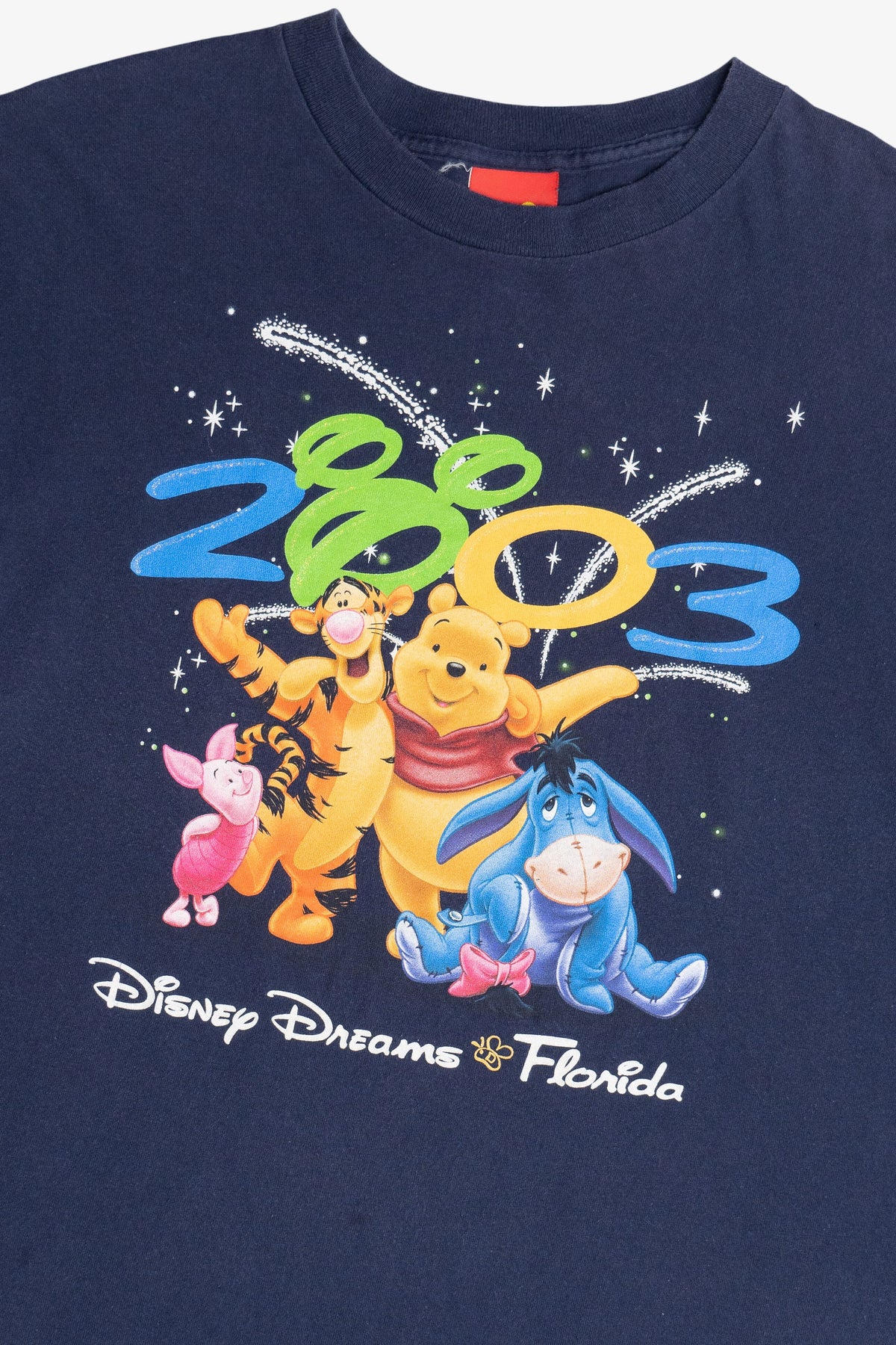 Vintage 2003 "Disney Dreams Florida" Winnie The Pooh Disney T-Shirt (2000s)