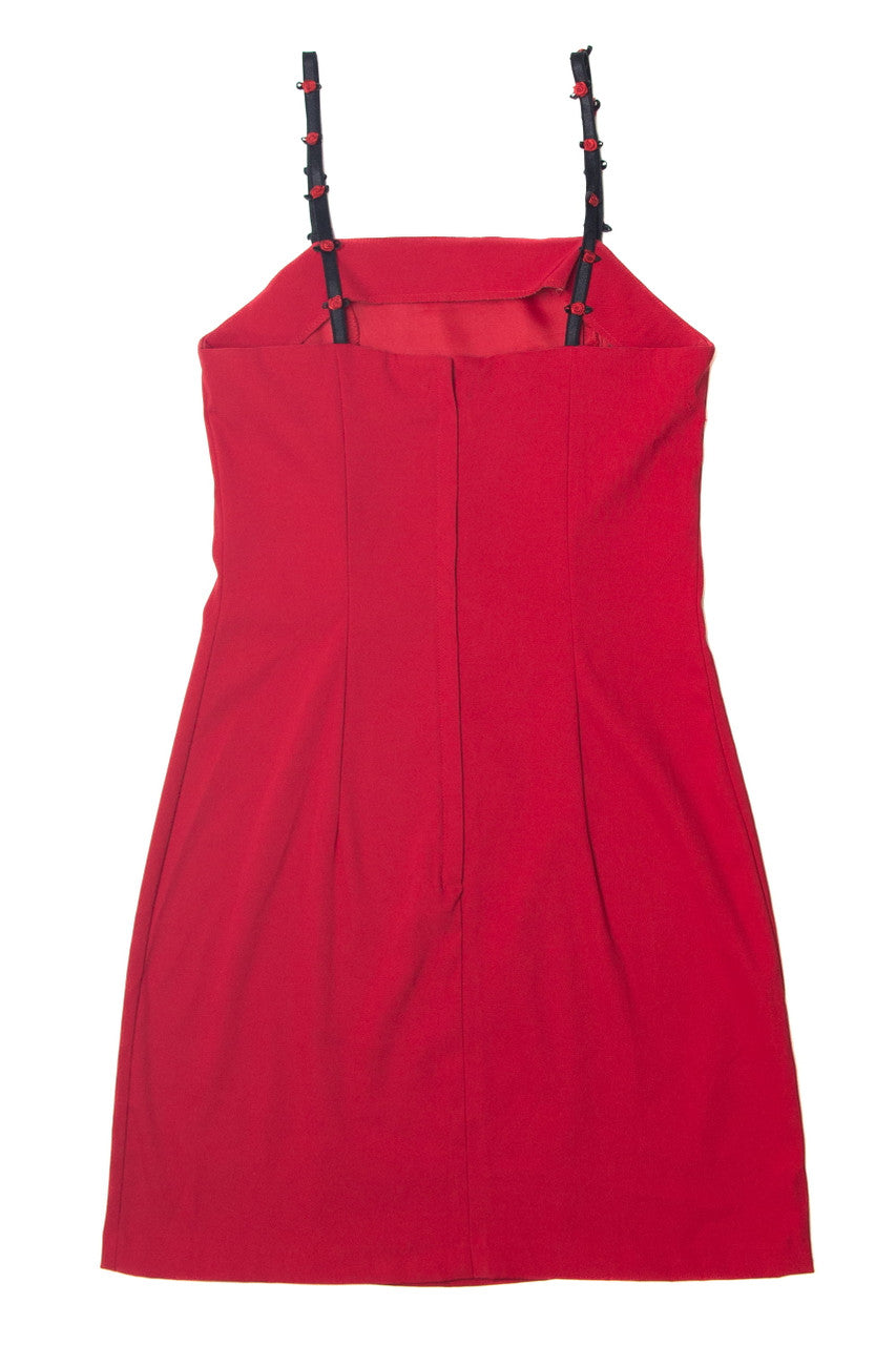 Vintage Red Rose Mini Dress