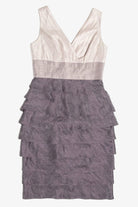 Shimmer Ruffle Adrianna Papell Party Dress (sz. 4)