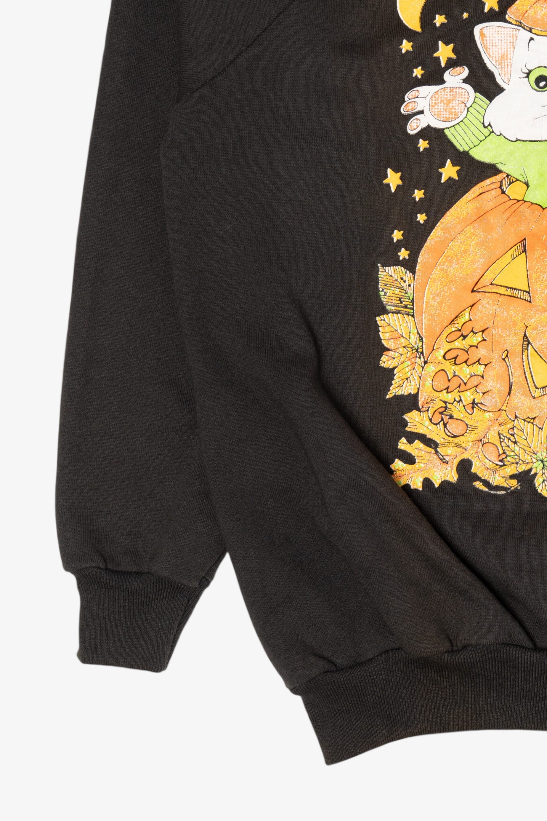 Vintage Cat In Jack O Lantern Halloween Raglan Sweatshirt (1990s)