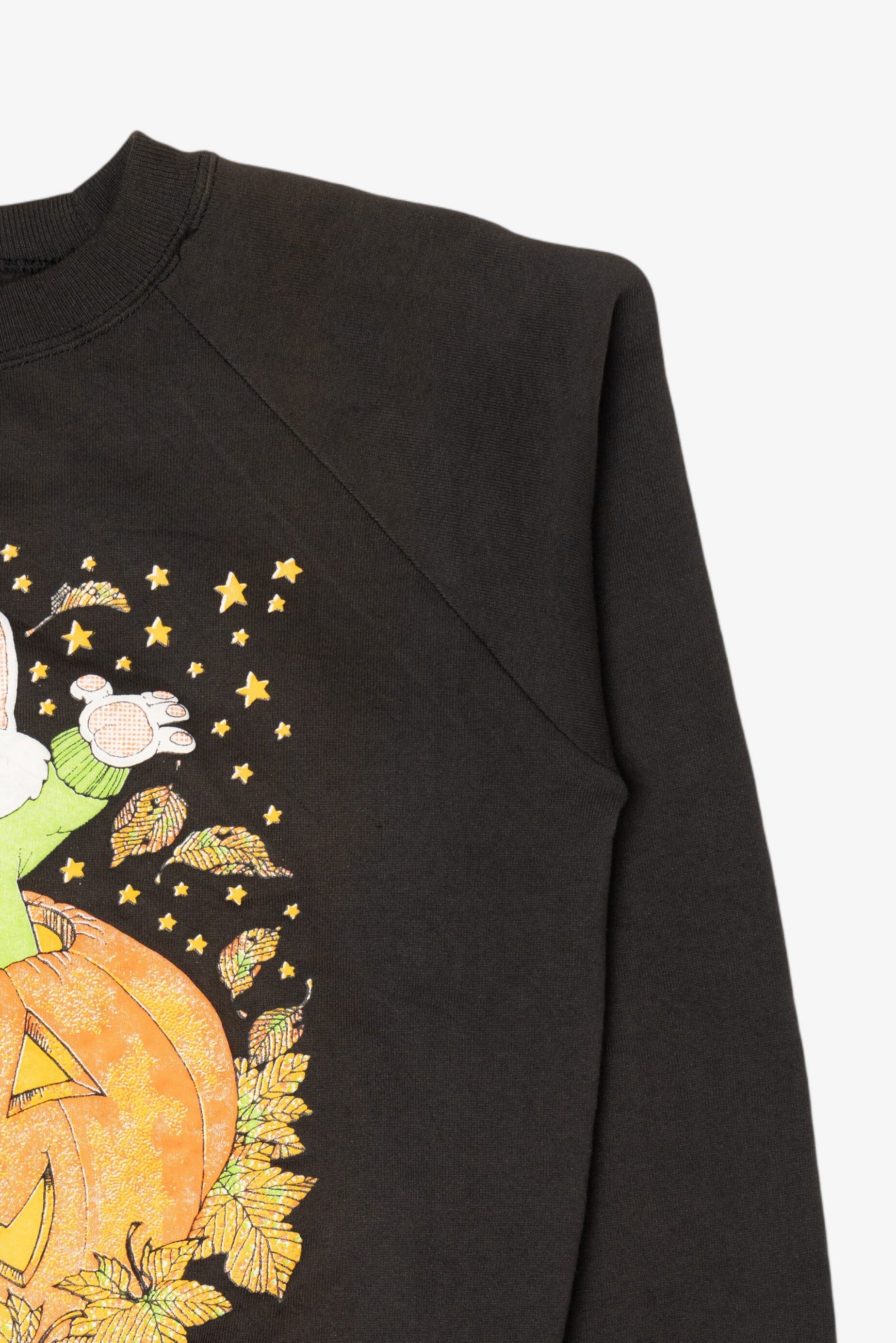 Vintage Cat In Jack O Lantern Halloween Raglan Sweatshirt (1990s)