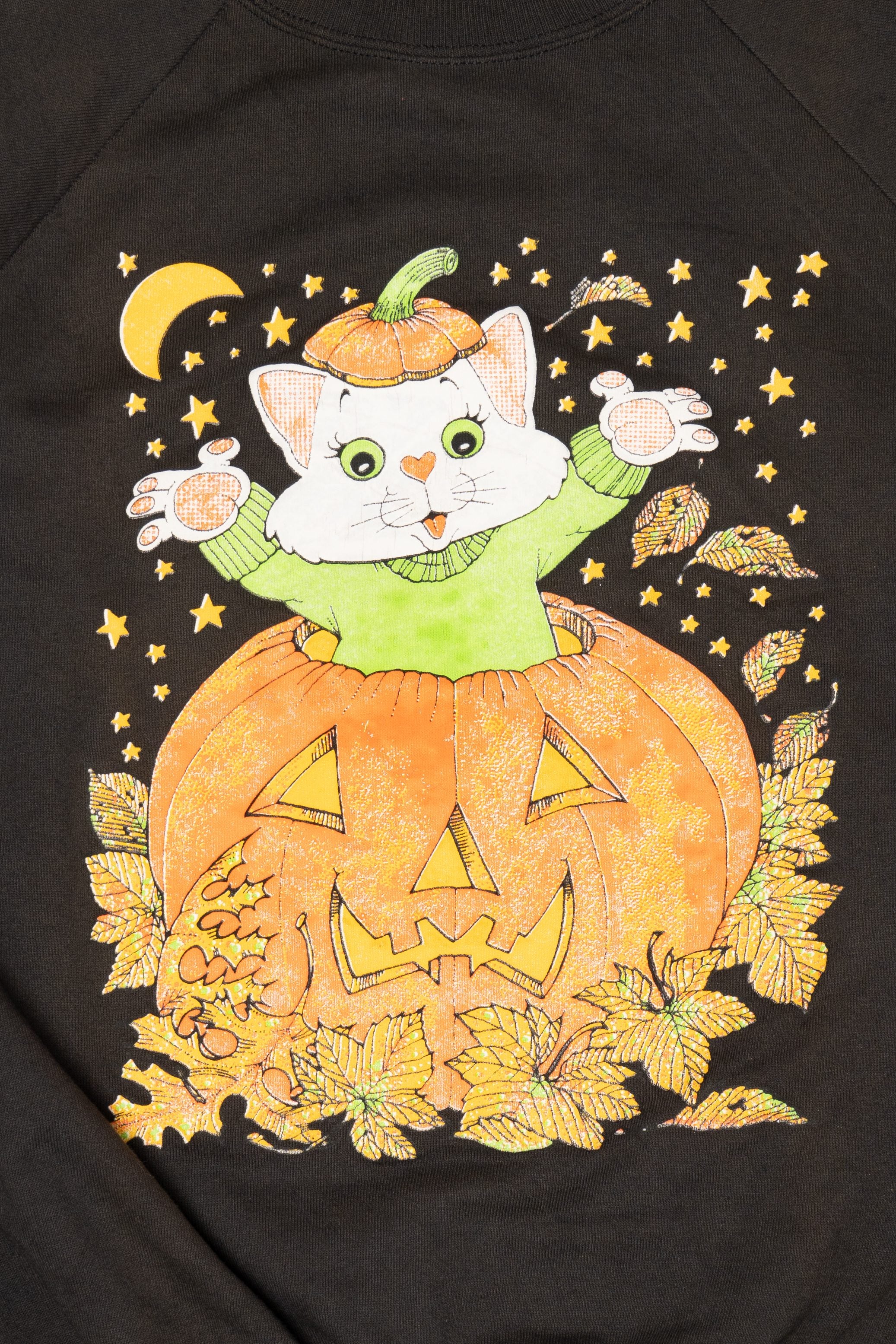 Vintage Cat In Jack O Lantern Halloween Raglan Sweatshirt (1990s)