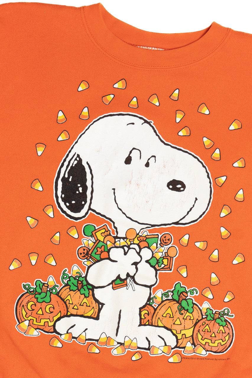 Vintage Snoopy Peanuts Halloween Sweater 620