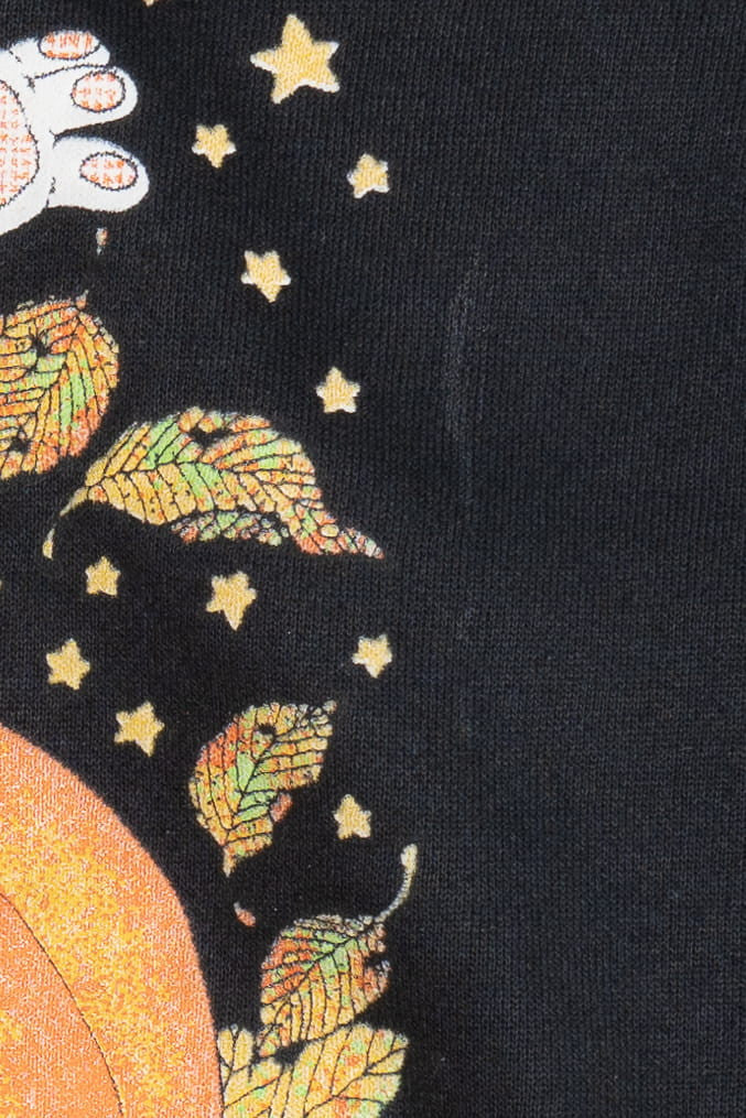 Vintage Cat In A Pumpkin Halloween Sweatshirt