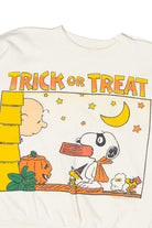 Vintage Peanuts Snoopy Trick Or Treat Halloween Sweater (1990s)