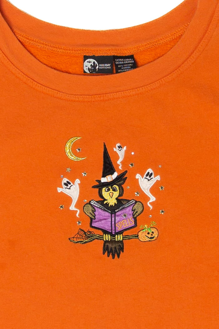 Owl Witch Halloween Sweater