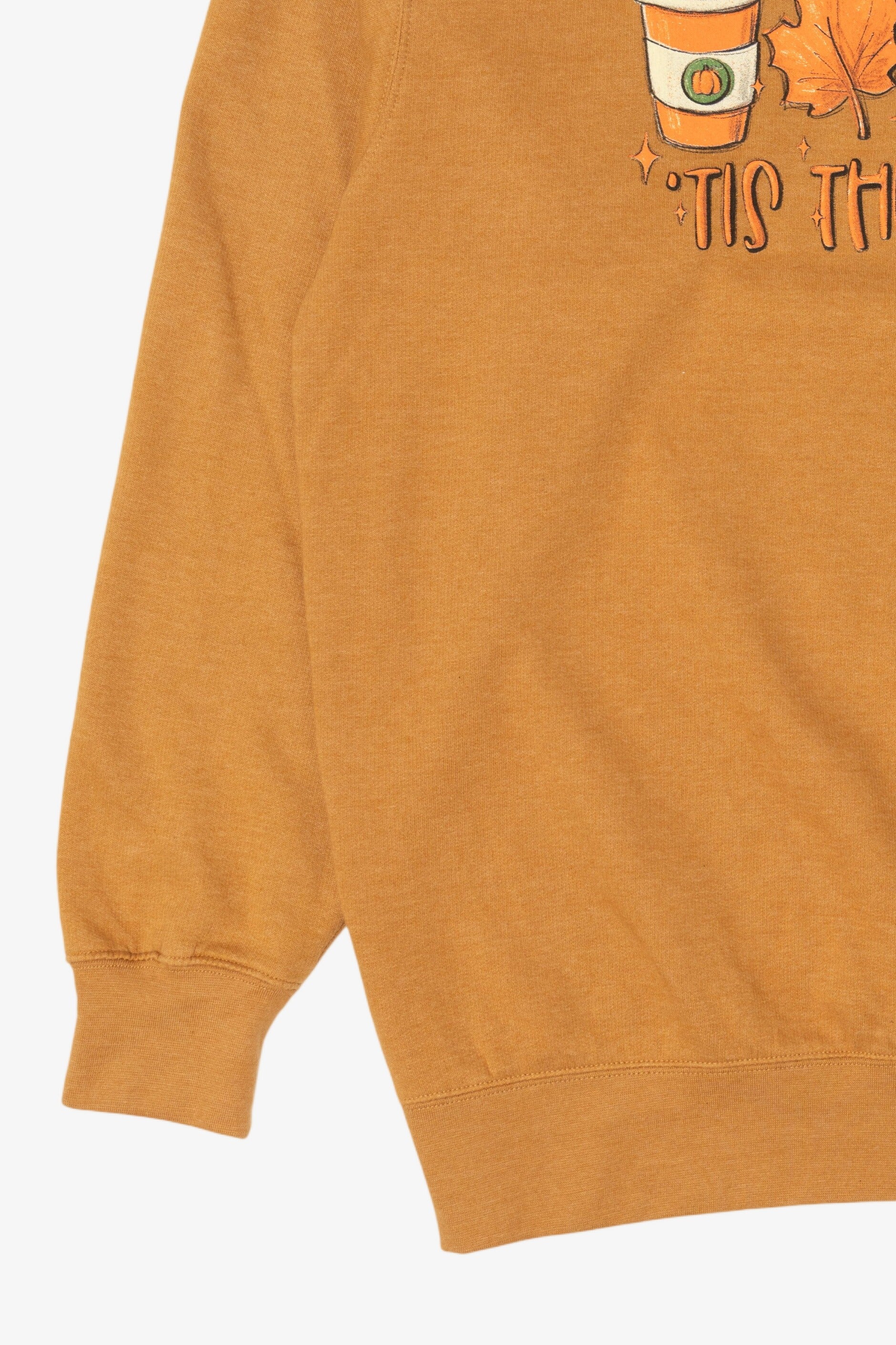 Autumn "Tis The Season" Sweatshirt (2020s)
