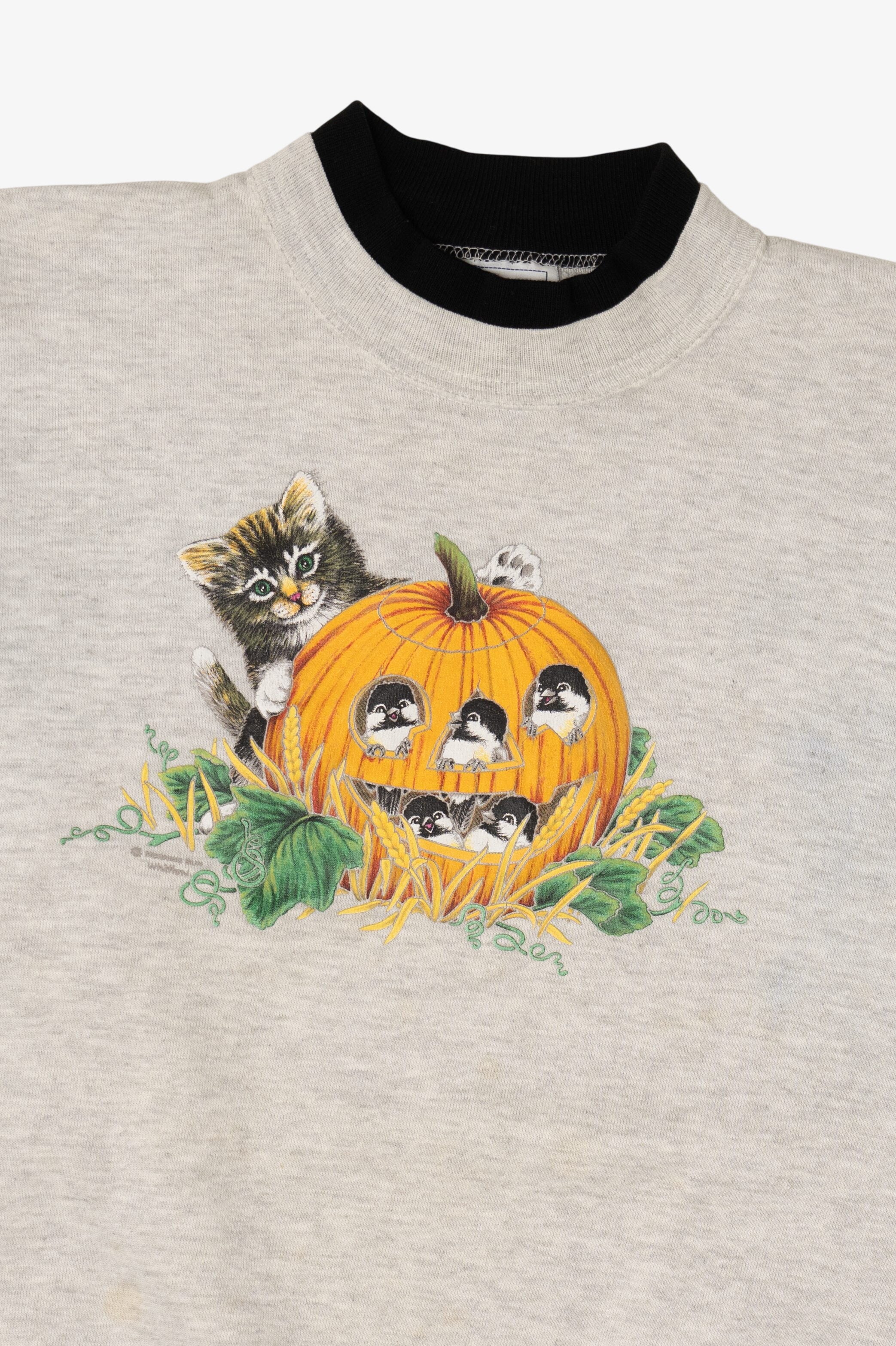Vintage Light Gray Kitten Birds And Pumpkin Halloween Sweatshirt (1990s)