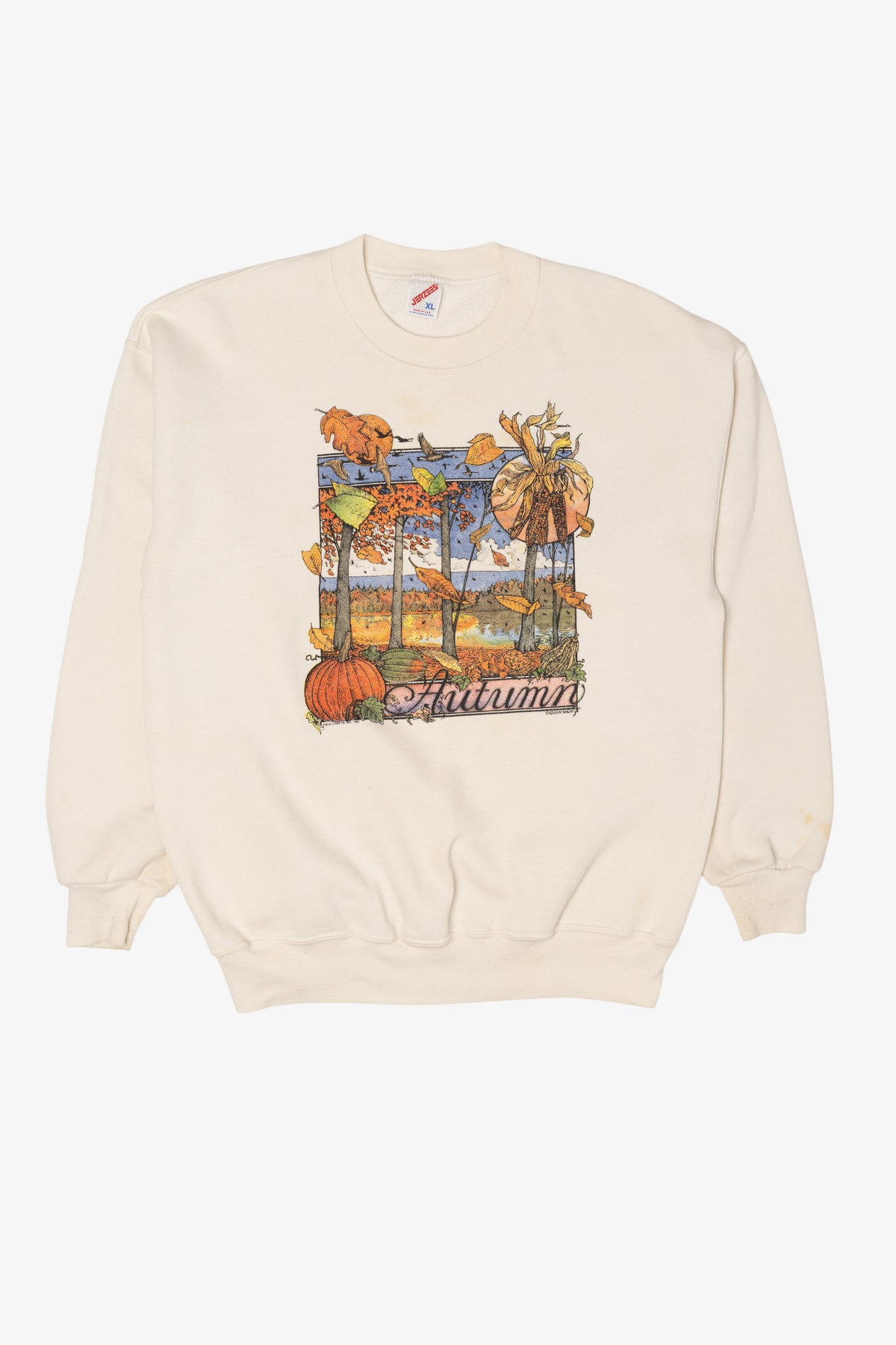 Vintage Autumn Harvest Fall Sweatshirt (1990s)