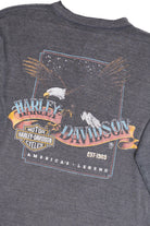 Harley Davidson "America's Legend" Eagle Henley Long Sleeve T-Shirt (2000s)