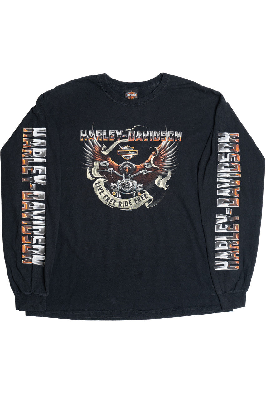 Harley Davidson Horny Toad "Temple Texas" Long Sleeve T-Shirt (2010s)