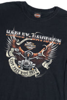Harley Davidson Horny Toad "Temple Texas" Long Sleeve T-Shirt (2010s)