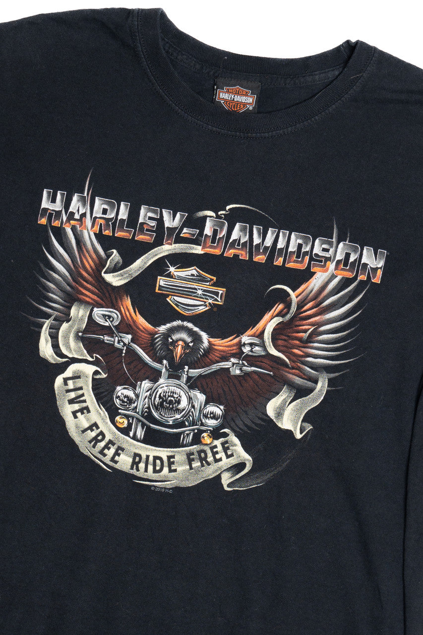 Harley Davidson Horny Toad "Temple Texas" Long Sleeve T-Shirt (2010s)