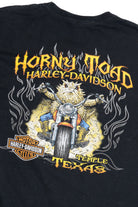 Harley Davidson Horny Toad "Temple Texas" Long Sleeve T-Shirt (2010s)