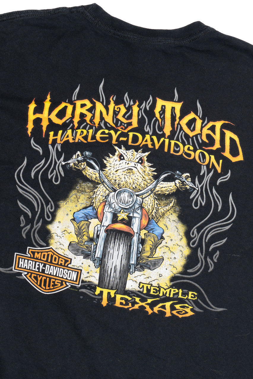 Harley Davidson Horny Toad "Temple Texas" Long Sleeve T-Shirt (2010s)
