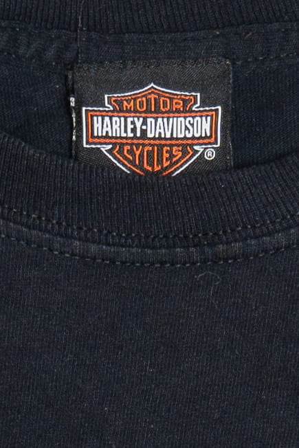 Harley Davidson Horny Toad "Temple Texas" Long Sleeve T-Shirt (2010s)