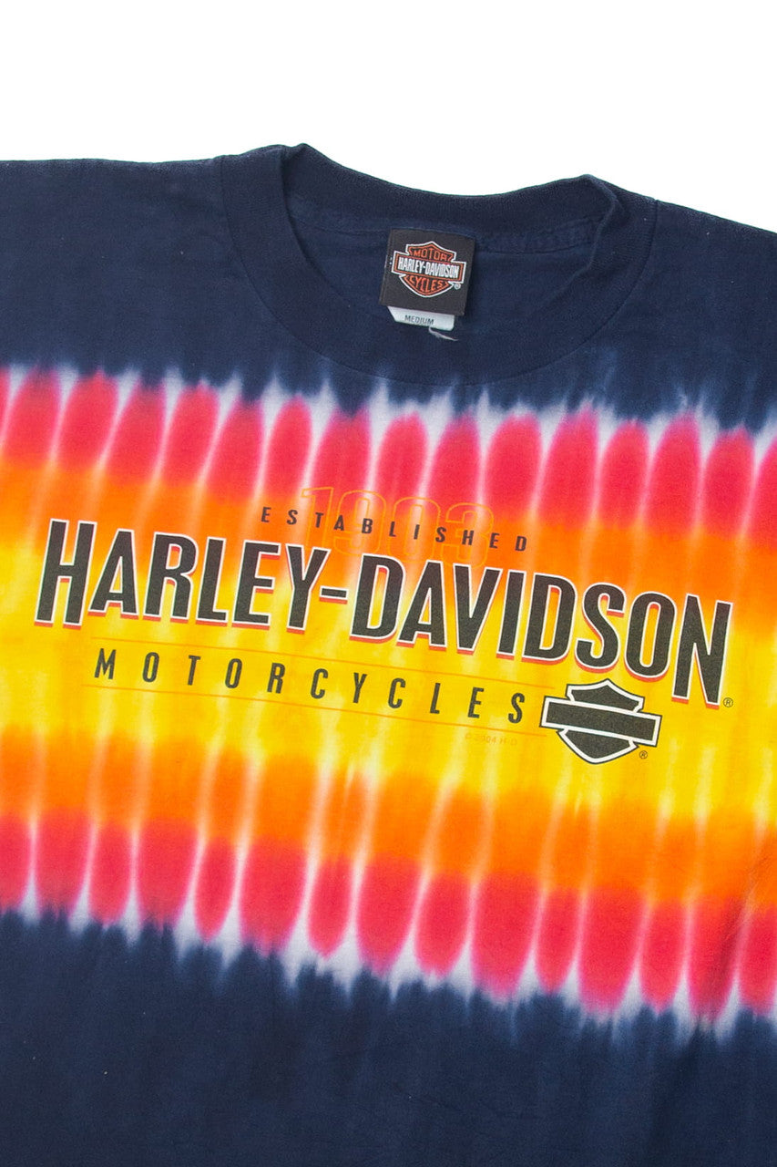 Vintage  Harley Davidson Tie Dye T-Shirt (2000s)