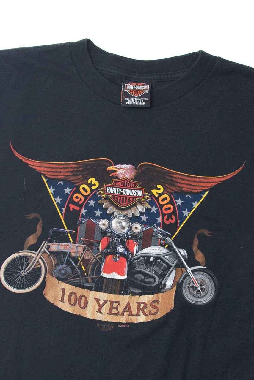 Vintage  Harley Davidson "100 Years" T-Shirt (2000s)
