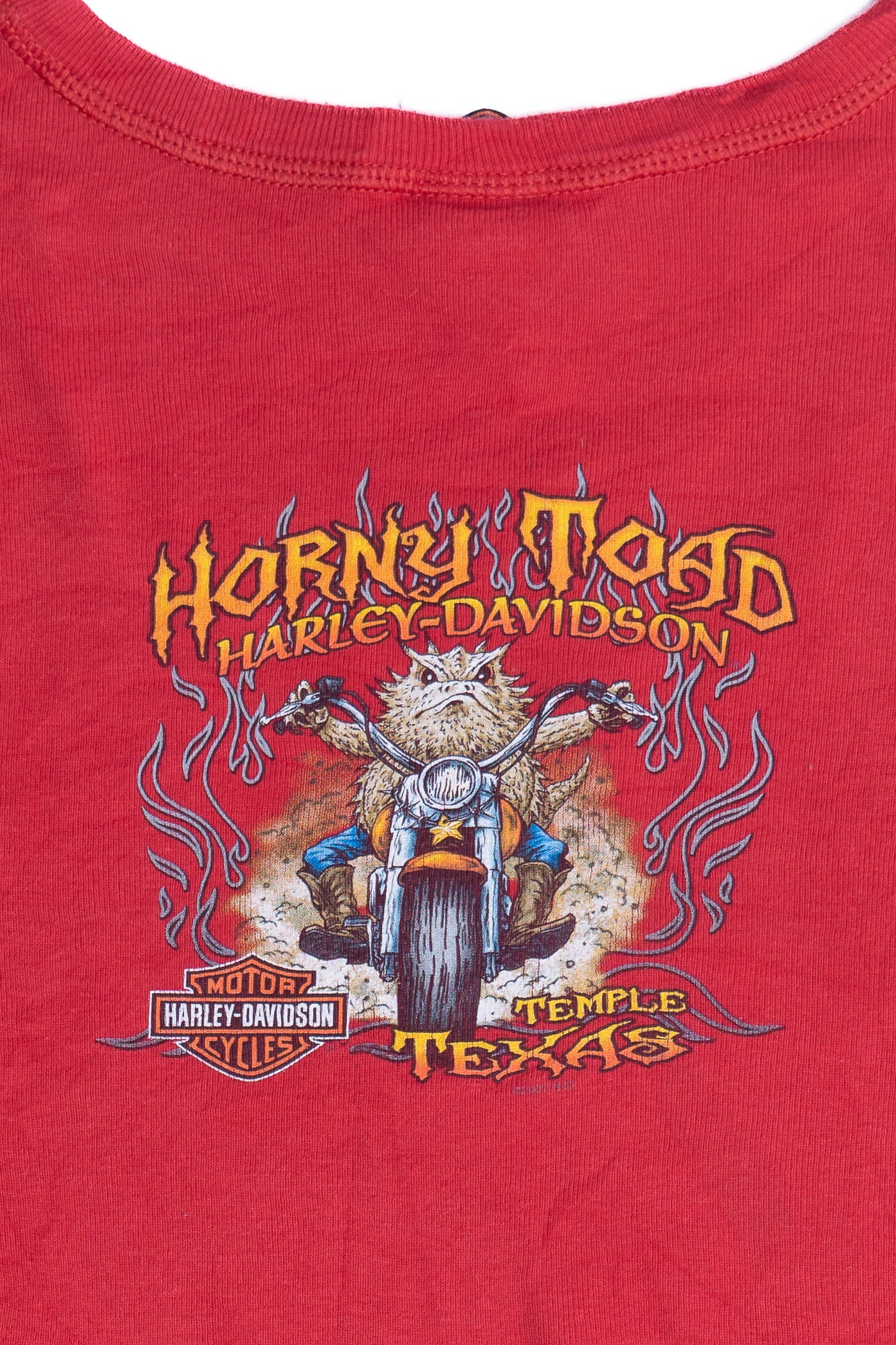 Harley Davidson Horny Toad Glittery Flame Long Sleeve Ribbed T-Shirt