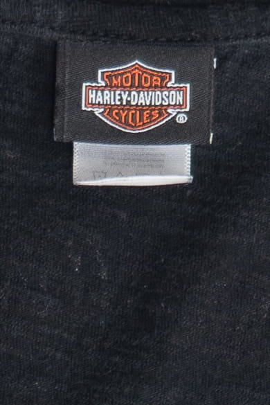 Harley Davidson Americana Loveland, Colorado T-Shirt