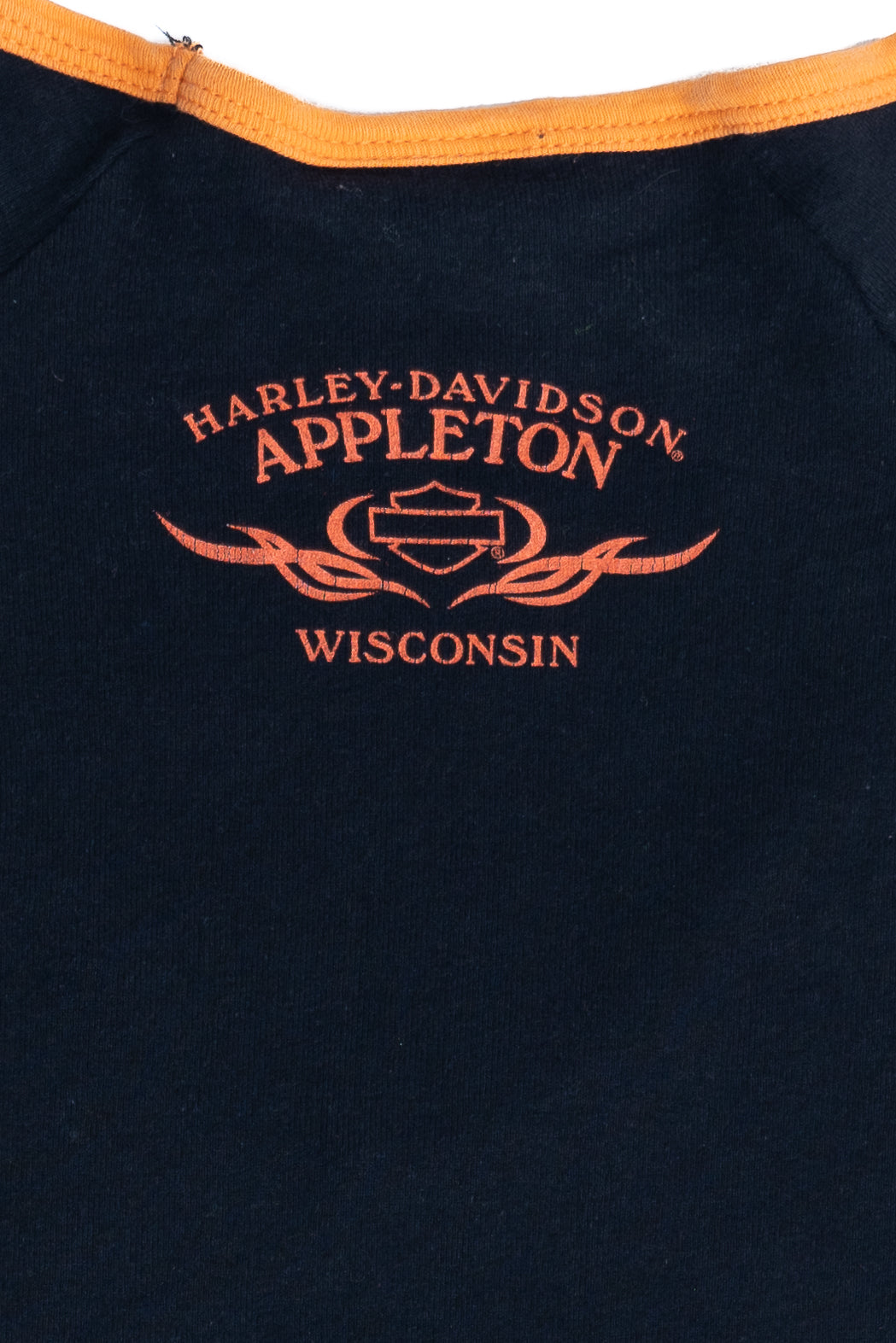 Harley Davidson Sporty Striped Sleeve Appleton Wisconsin T-Shirt