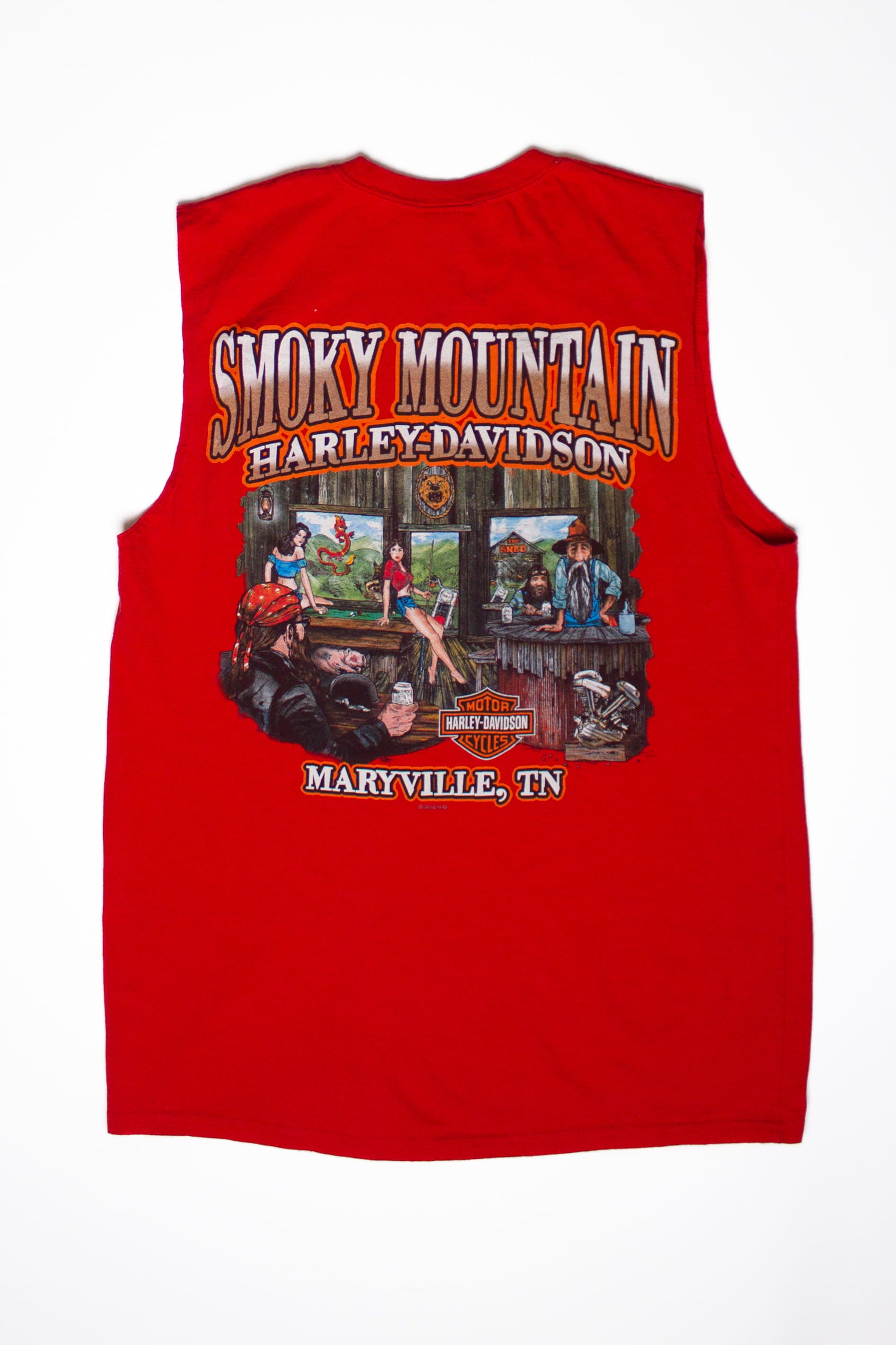 Sleeveless Smoky Mountain Freedom Harley Davidson T-Shirt (2020s)