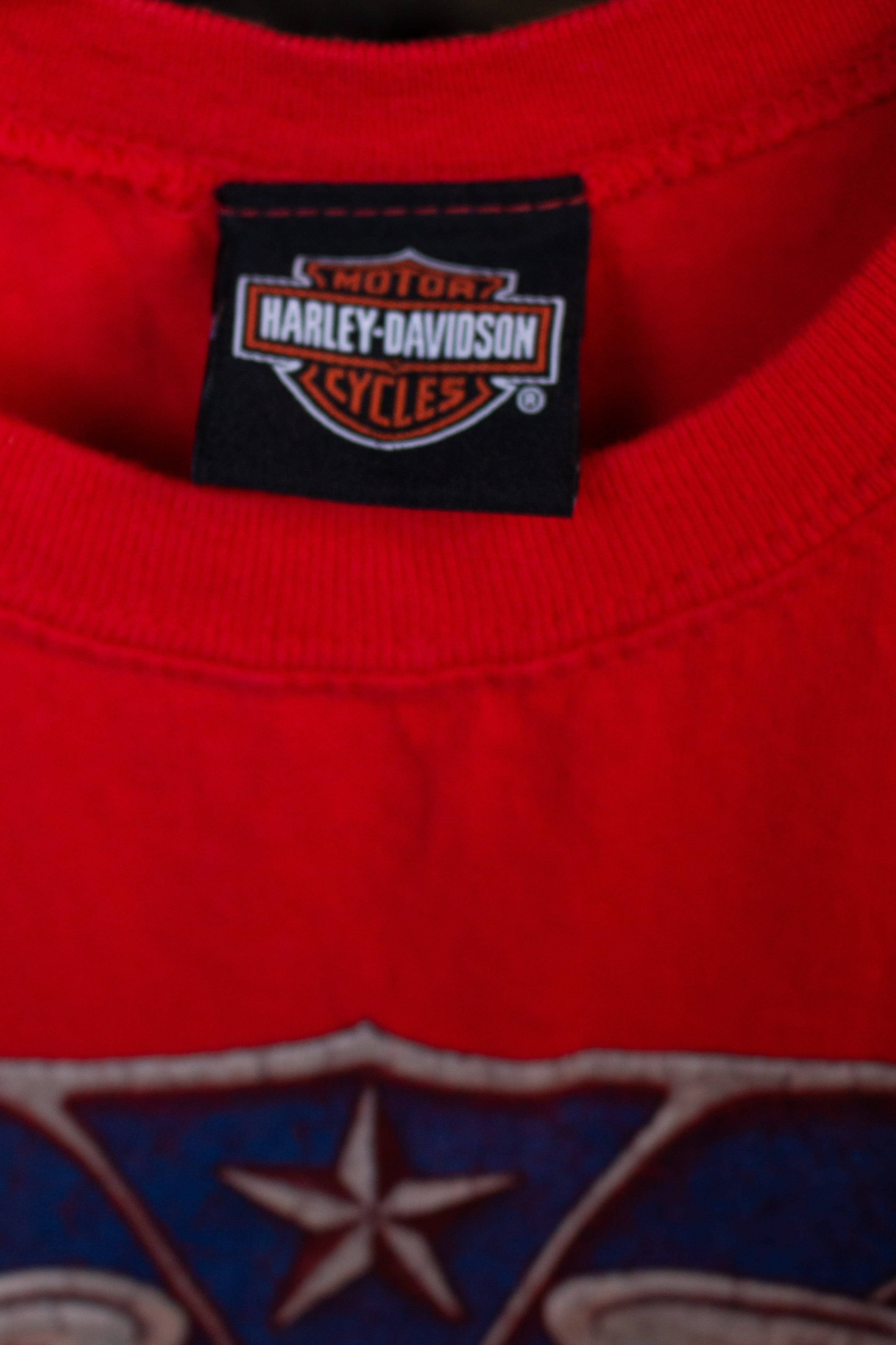 Sleeveless Smoky Mountain Freedom Harley Davidson T-Shirt (2020s)