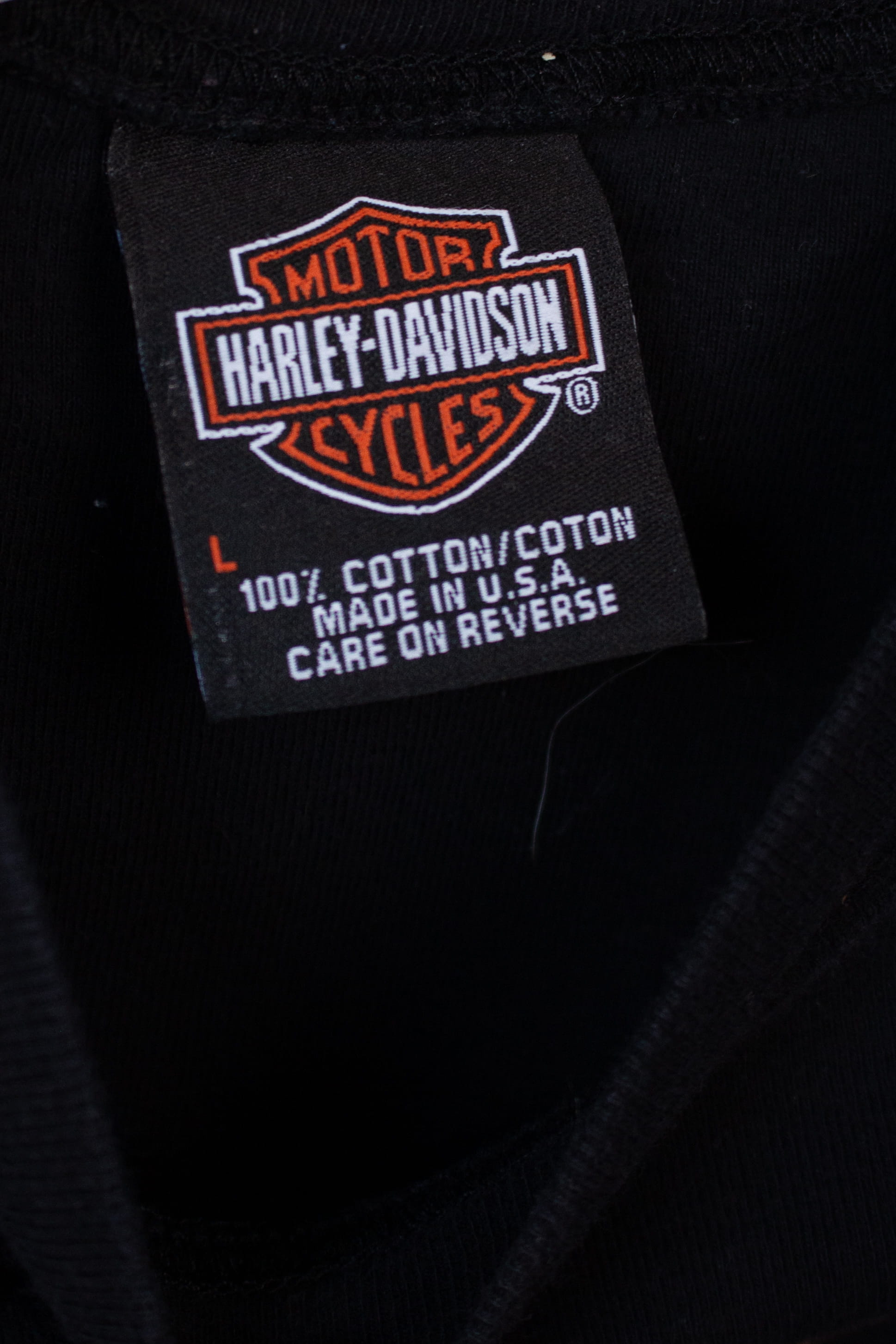 Vintage Sleeveless Big Boar Harley Davidson T-Shirt (2000s)