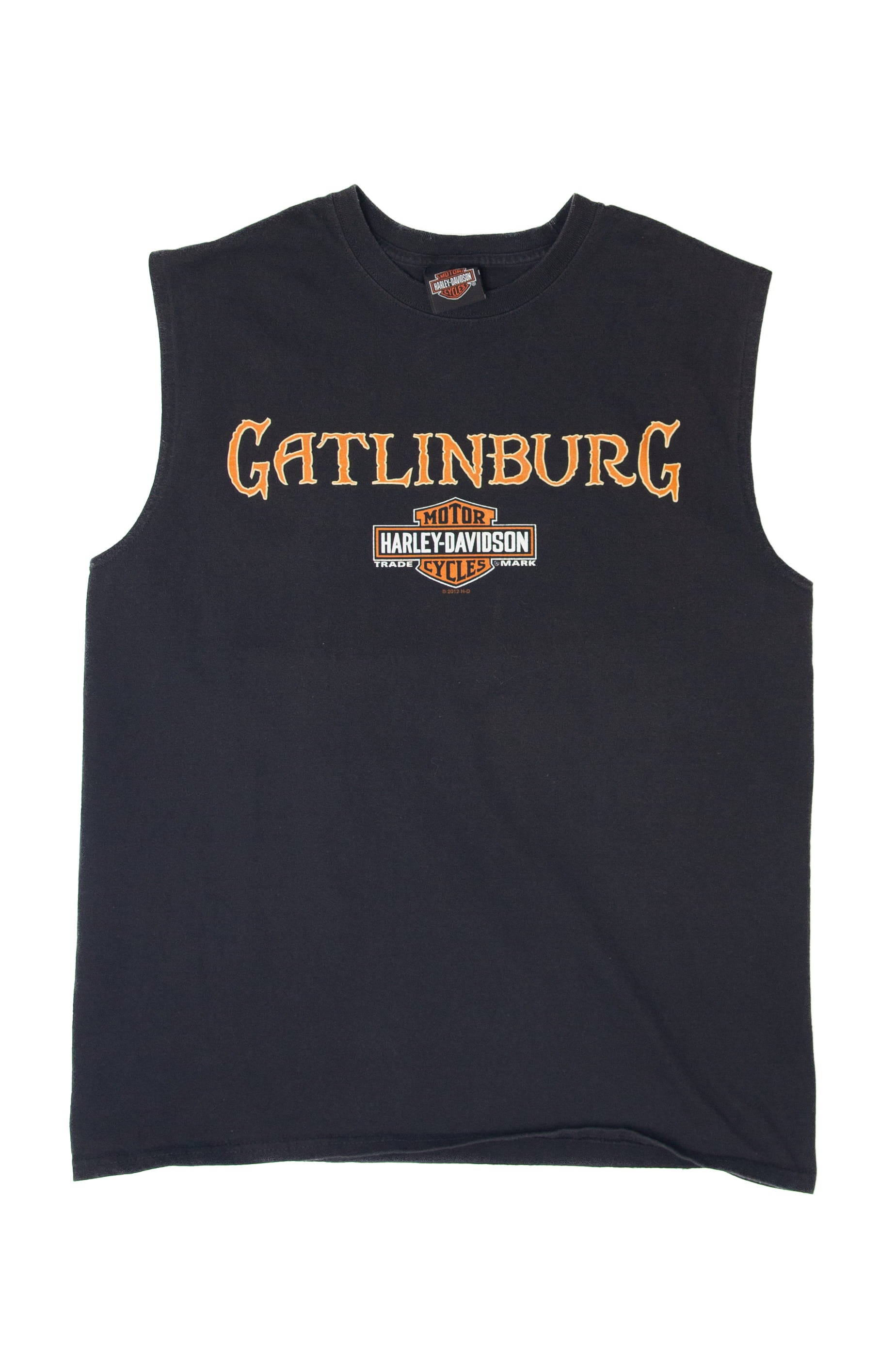 Recycled Hillbilly Gatlinburg Harley Davidson Sleeveless T-Shirt (2010s)