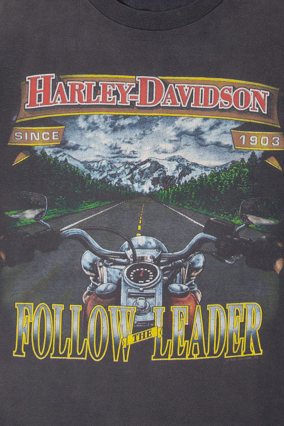Vintage Yucca Valley California Harley Davidson T-Shirt (1990s)