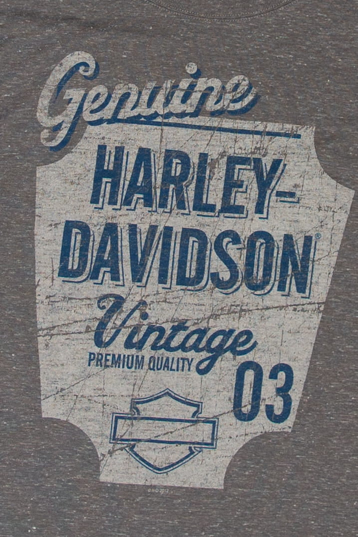 Smoky Mountain Harley Davidson T-Shirt (2010s)