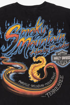 Smoky Mountain Dragon Harley Davidson T-Shirt (2000s)