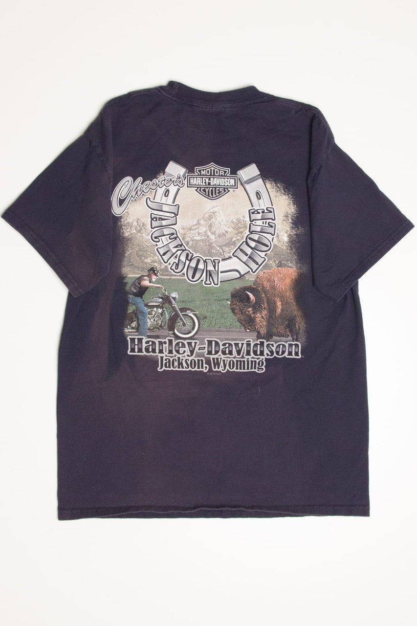 Jackson Hole Wyoming Chester's Harley-Davidson T-Shirt (2010s)