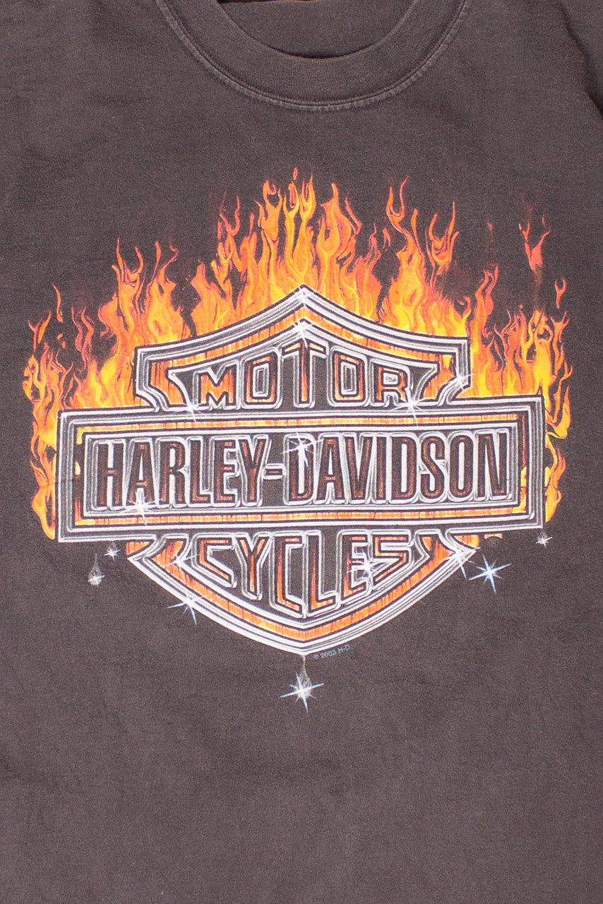 Vintage N. Canton Ohio Harley Davidson T-Shirt
