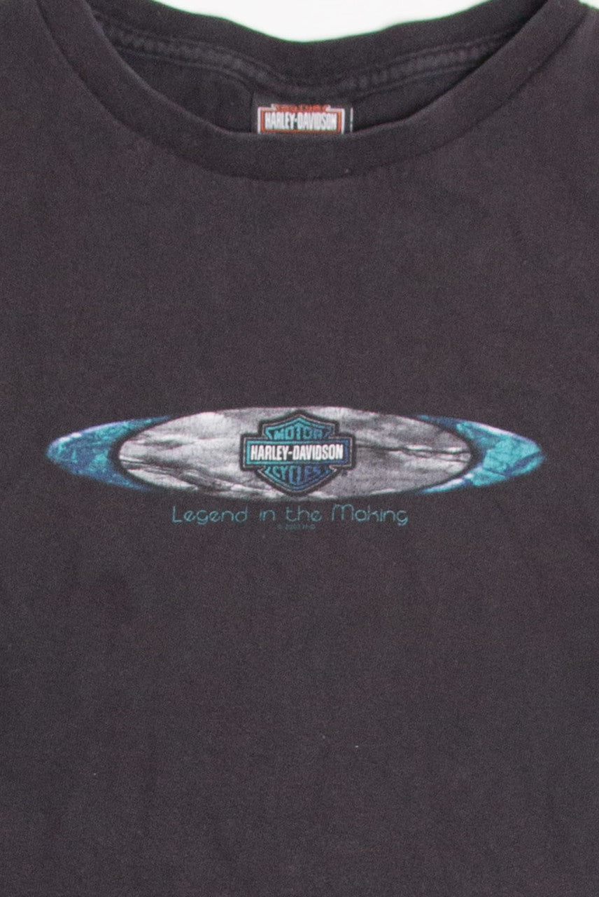 Vintage Cattahoochee Harley Davidson T-Shirt