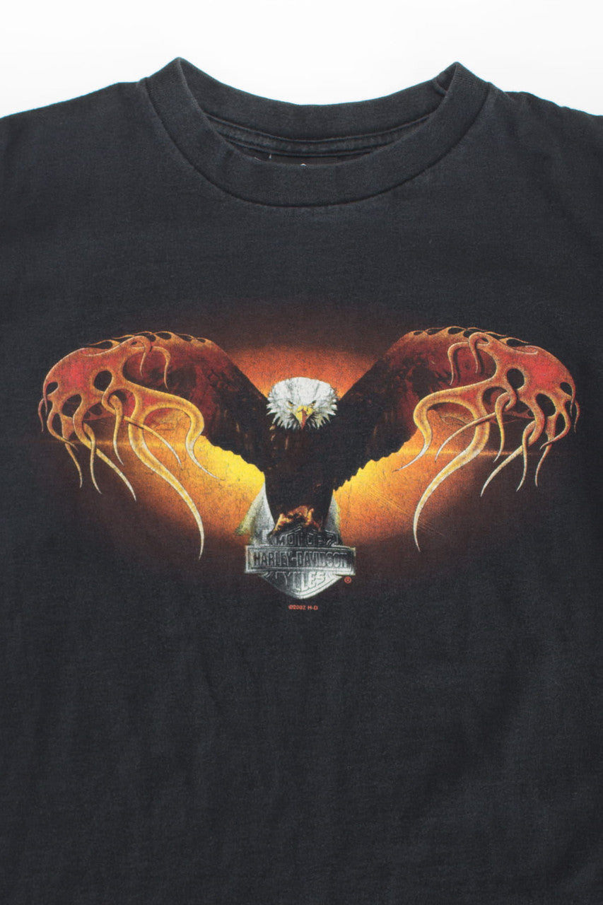 Flaming American Eagle Harley Davidson T-Shirt