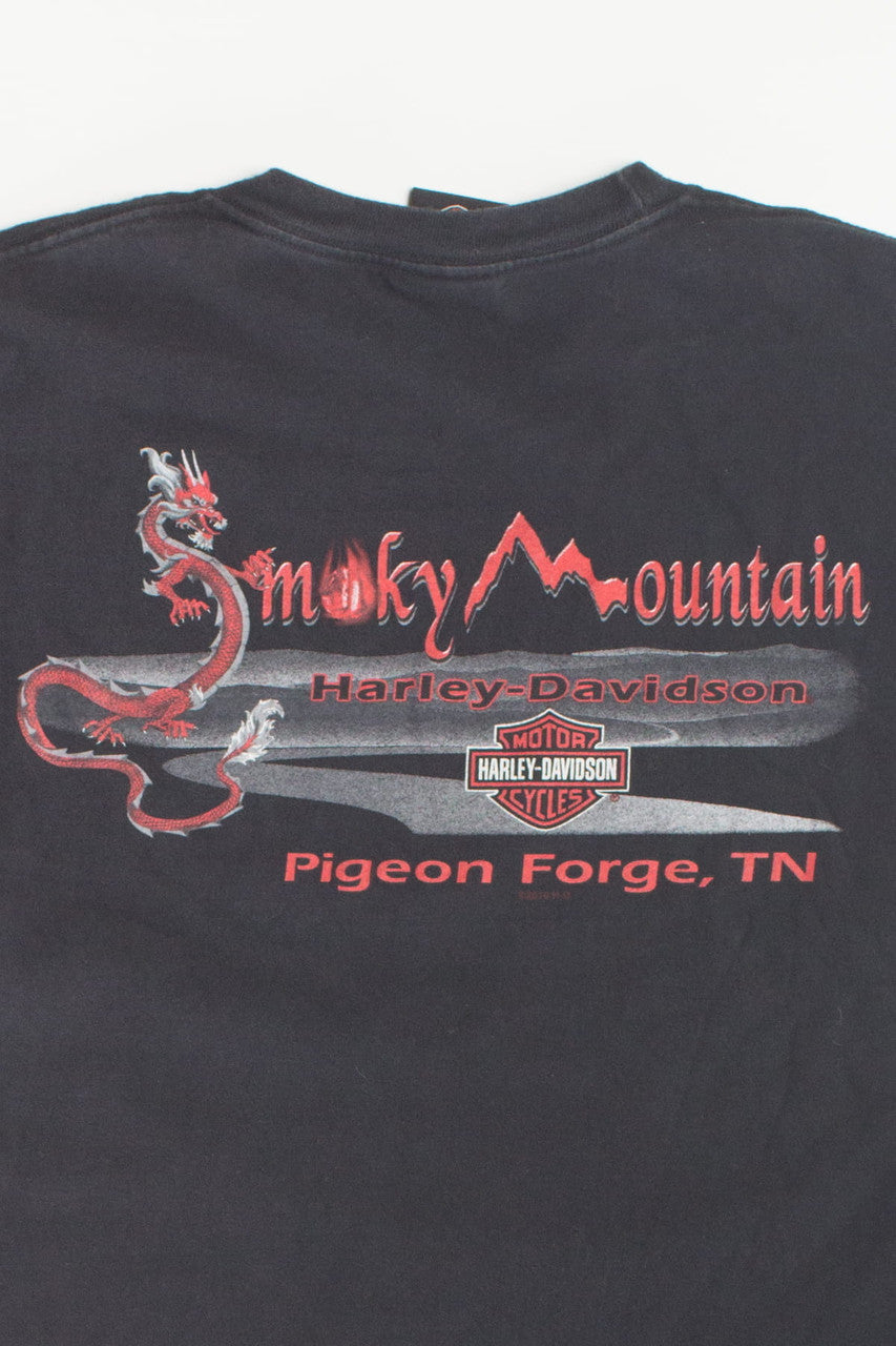 Vintage Smoky Mountain Harley Davidson T-Shirt