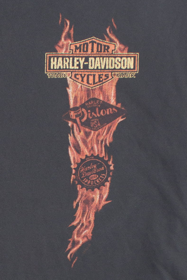Smoky Mountains Harley Davidson T-Shirt
