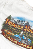 Vintage Harley Davidson T-Shirt (2010s) 674