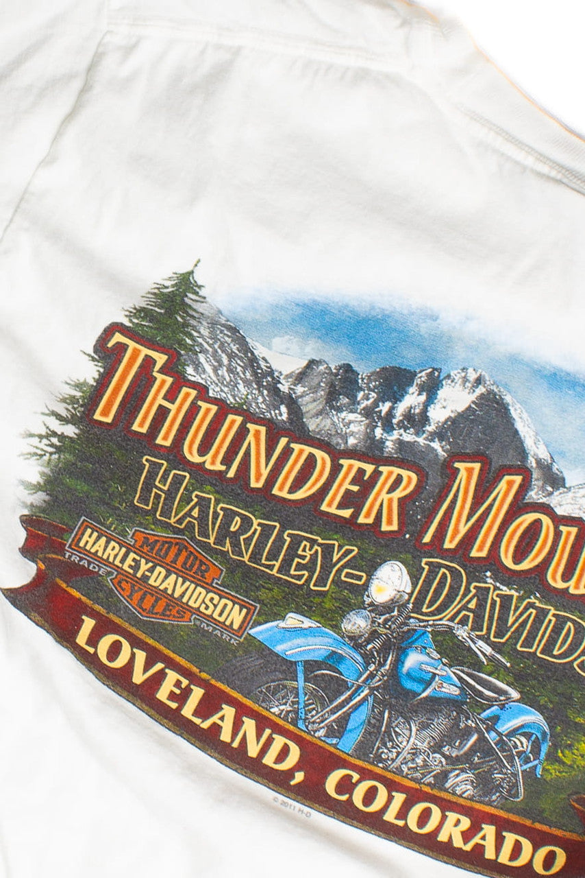 Vintage Harley Davidson T-Shirt (2010s) 674